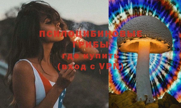 твердый Алексин