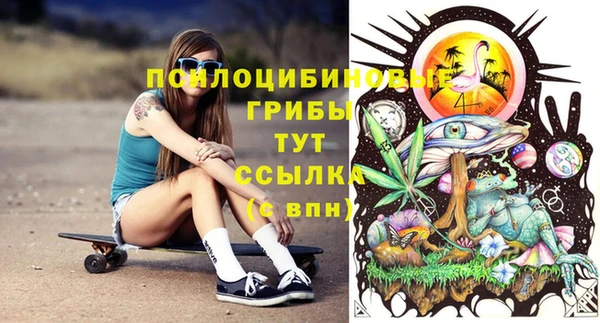 твердый Алексин