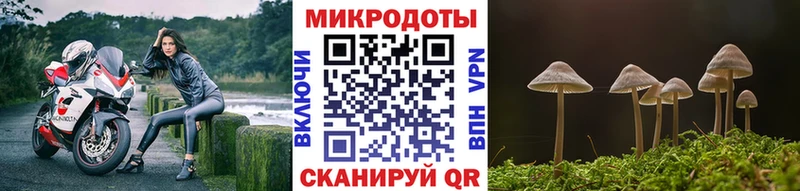 дарнет шоп  Болхов  Галлюциногенные грибы прущие грибы 
